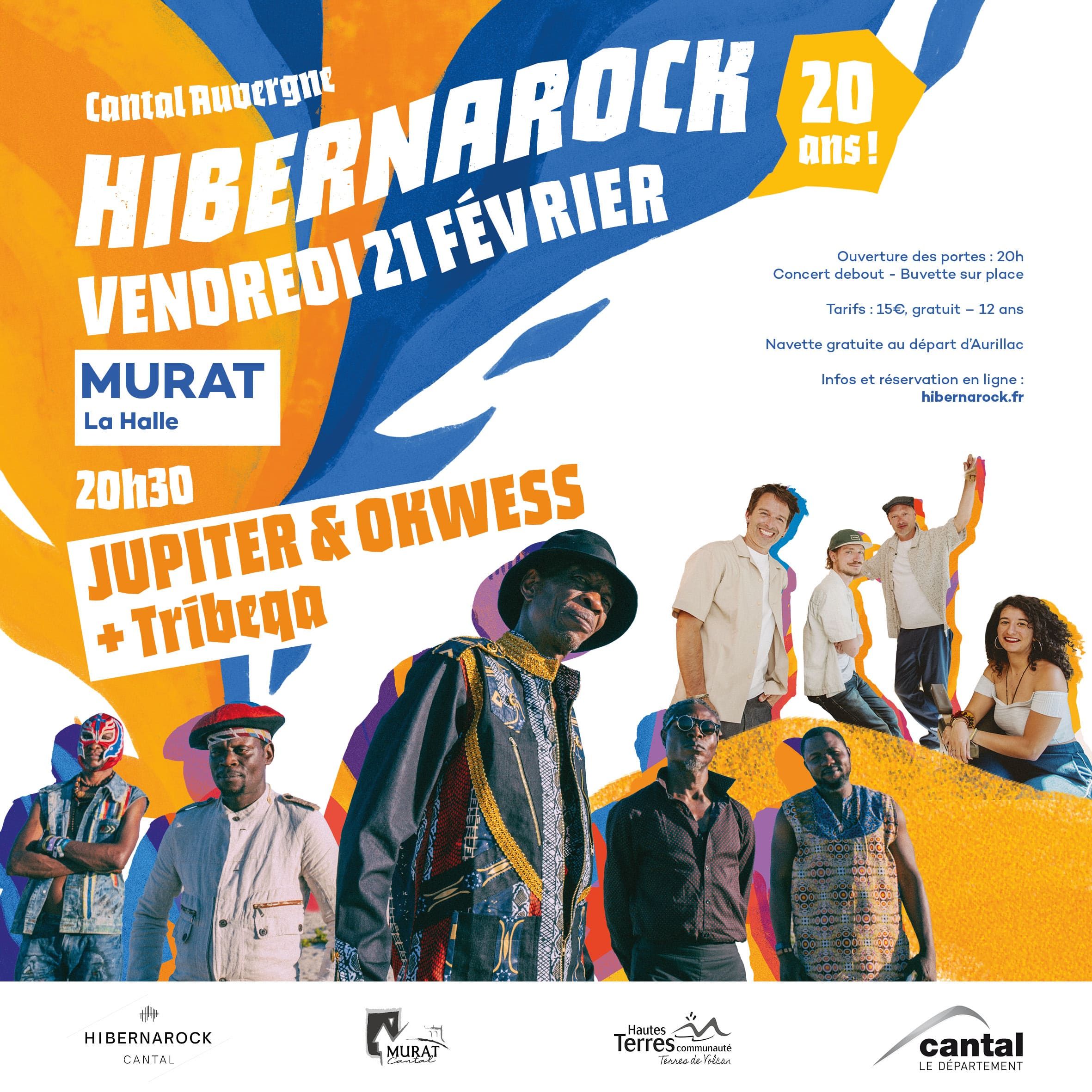 AFFICHE 31 JANVIER SAINT ILLIDE2 min