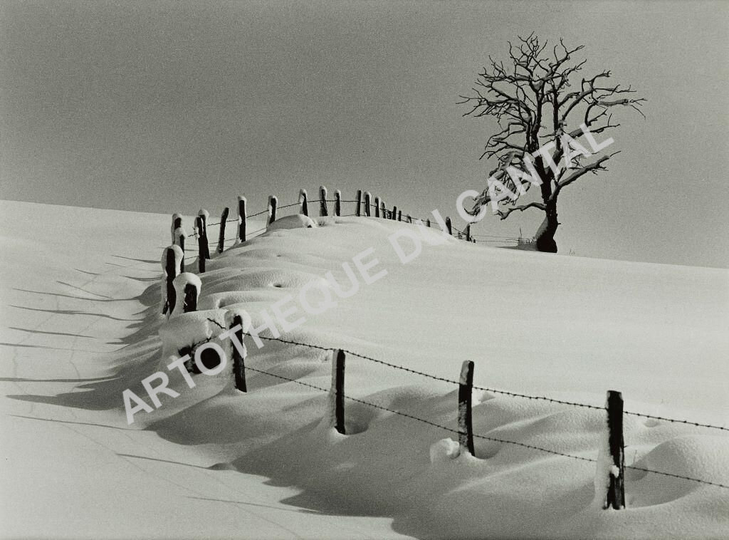 L'Arbre et la neige - 1977 / Christian Malon